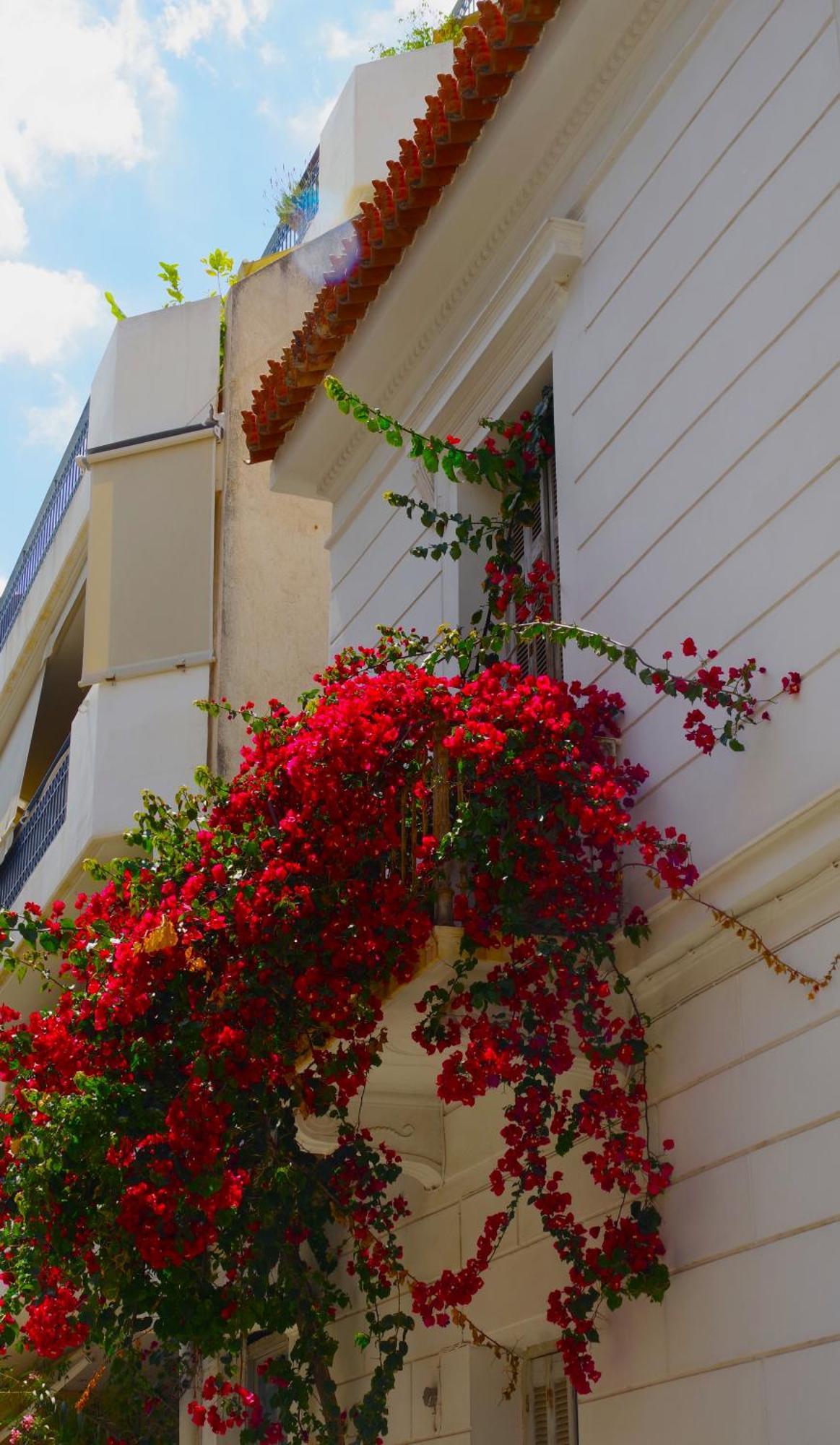 Aparthotel Absolute Athens Acropolis View Exterior foto
